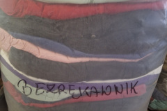 letnie-sorty-dostawa-w-tym-meski-sort-6