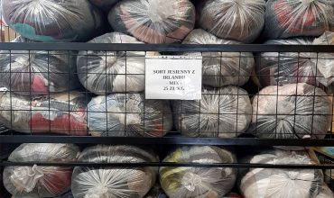 sort jesienno zimowy